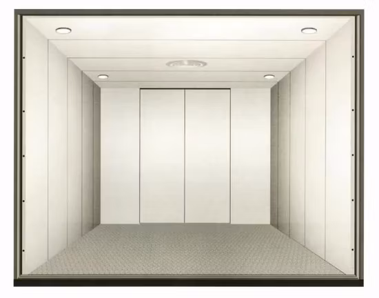 Cargo ELevator 800 KG